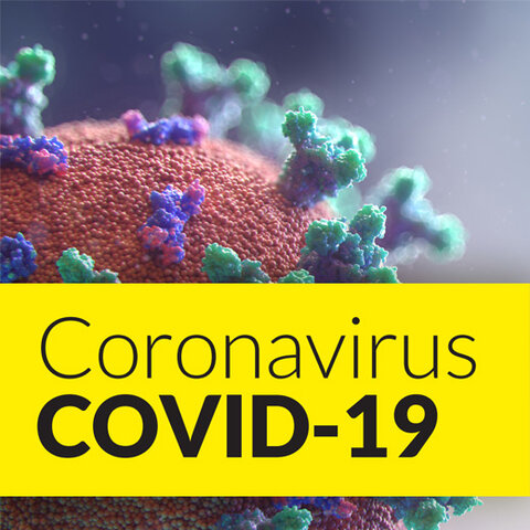 coronavirus/comfinament