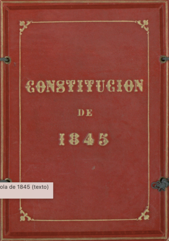 Nueva constitución (moderada)