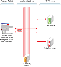 Netware core protocol