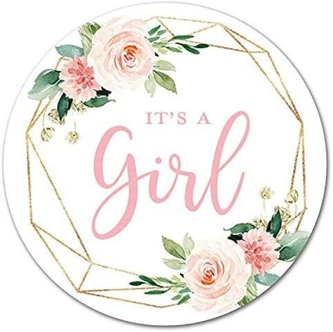 My Cousin's Gender Reveal