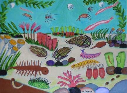 Plants from the Cambrian