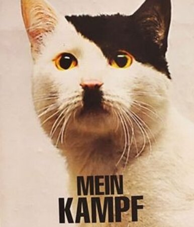 Premier Volume Mein Kampf