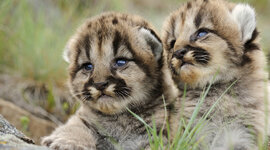 Timeline: Моє життя