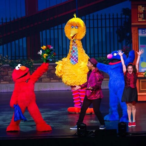 My First Ever Concert