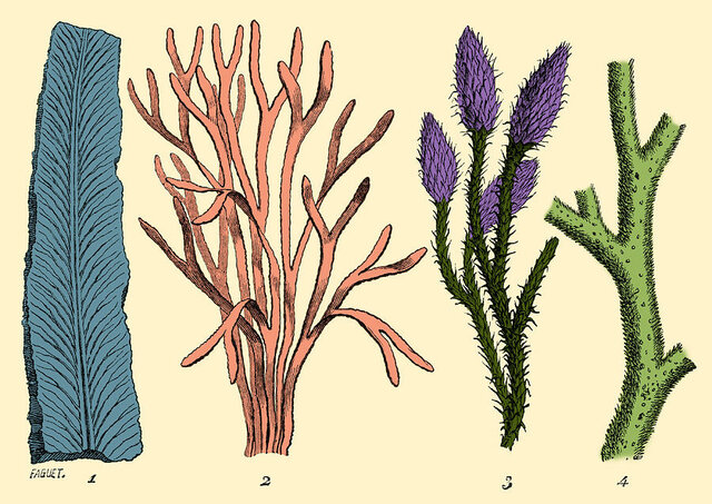 Plants in the Silurian Period