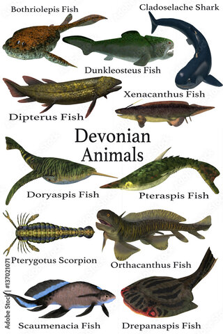 Animal from the Devonian