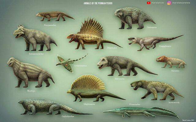 Animals from the Permian