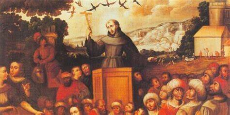 Fortalecimiento de los colegios jesuitas