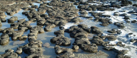 La aparición de los electromatolitos