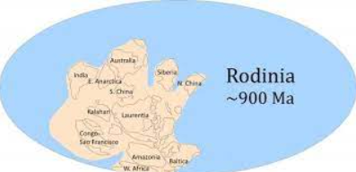 La formación de Rodinia
