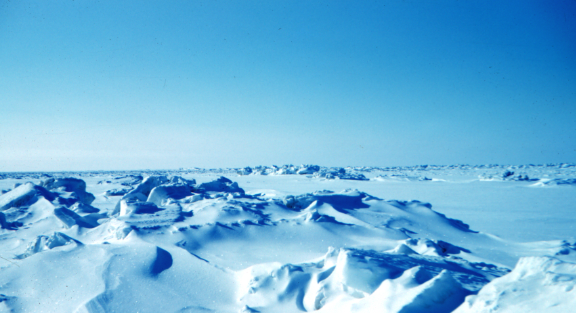 Surgé la glaciacion global