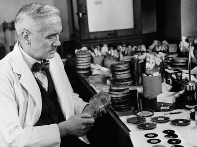 La penicilina (Área de la salud)