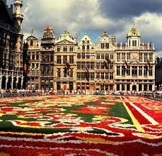 VIATGO CAP A BÈLGICA