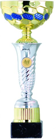 GUANYO UN TORNEIG MOLT IMPORTANT