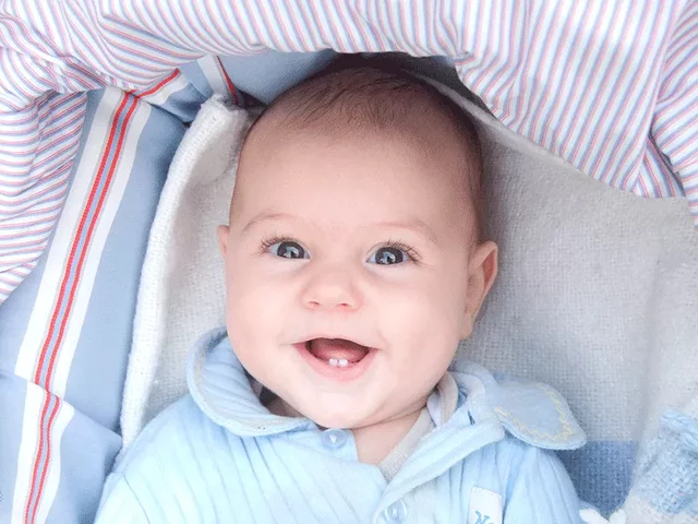 La meva primera dent