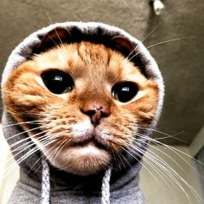 Timeline: LA MEVA VIDA