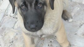 Timeline: La Meva Vida