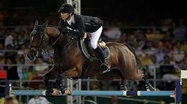 Timeline: LA MEVA VIDA