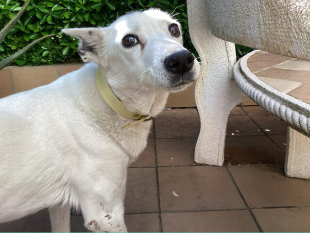 DESGRÀCIA PERQUÈ 🥺🥺❕❕