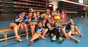 QUAN VAIG GUANYAR A GIMNASTICA ARTISTICA