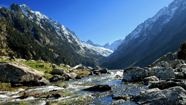 Tractat dels Pirineus