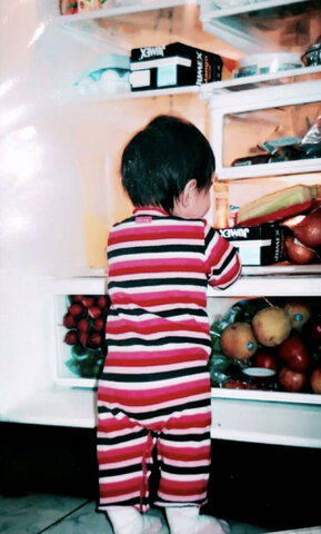 Went through the fridge