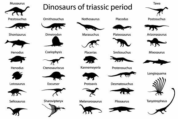 Animals from the Triassic