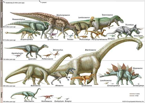 Animals from the Jurassic