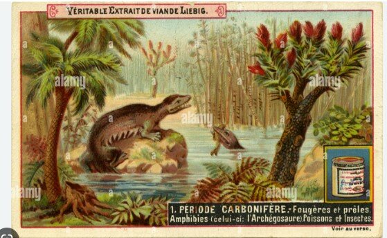 carboniferous