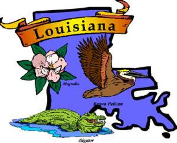 Louisianna Purcase