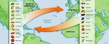 The Columbian Exchange