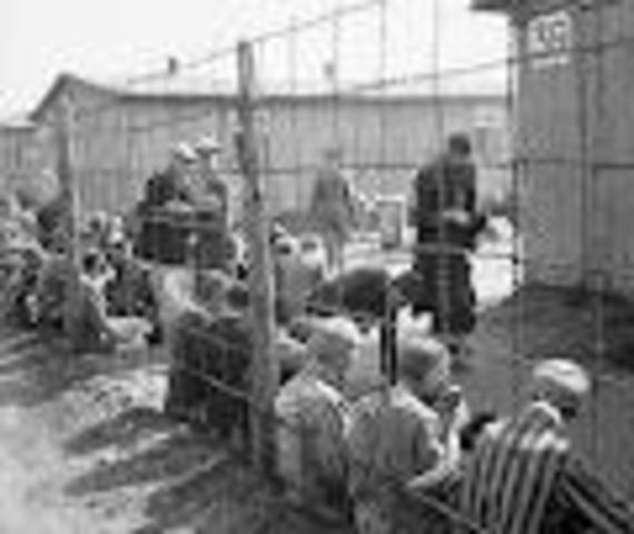 Anne & Margot Frank dies in Bergen-Belsen