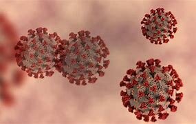 Comença la Covid-19