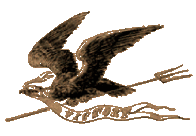 The War Hawks take power