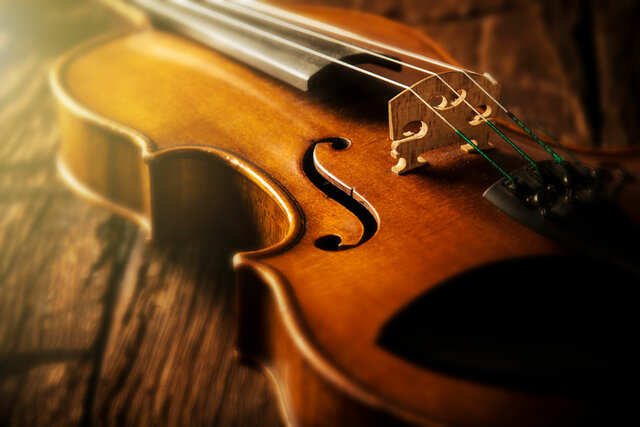Violin
