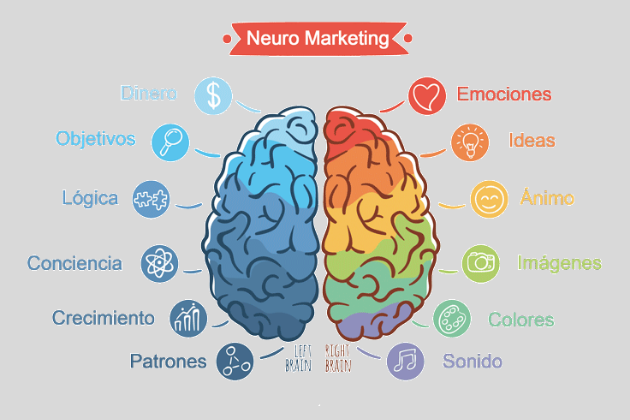 Neuromarketing 2009 en adelante