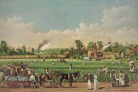 Life on the Plantations (Slaves).