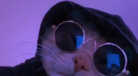 Timeline: Historia de la Ingeniería en Sistemas