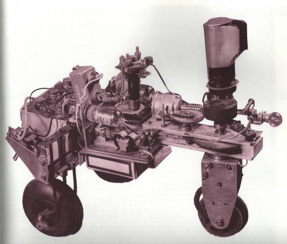 Tortue cybernétique