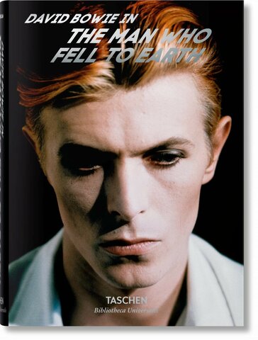 The Man Who Fell To Earth movie