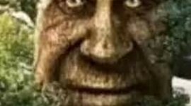 Timeline: La Mia Storia