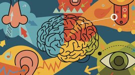 Timeline: Actividad 4 - Recorrido en el estudio de los procesos sensoperceptivos