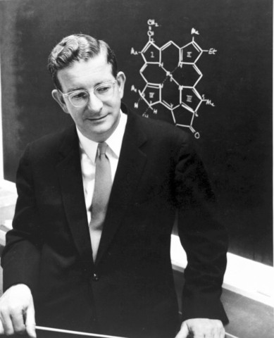 Robert Burns Woodward and William von Eggers Doering synthesized quinine.