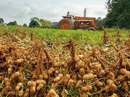 The Food and Agriculture Act of 1977