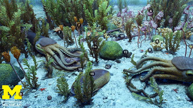 Ordovician animals