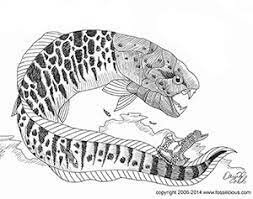 Carboniferous Animals