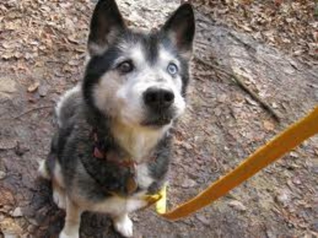 Drsides to hit him Chapter 25