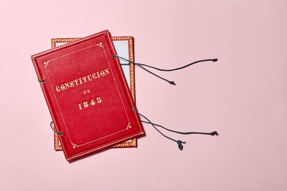 Nueva Constitución (moderada)