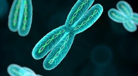 Timeline: HISTORIA DE LA GENÉTICA