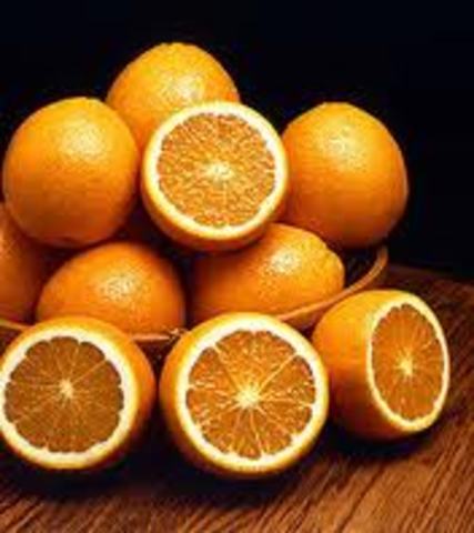 Citrus fruit is discovered the prevent scurvy